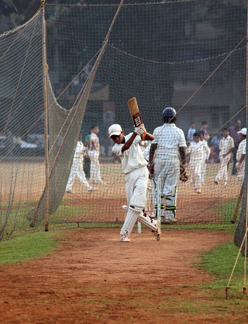 The Financial Aspects of Cricket Sponsorships: Analyzing Return on Investment