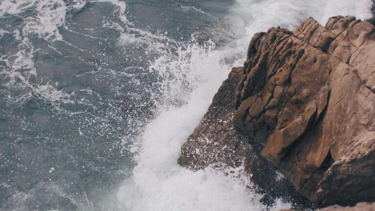 Does Cricbet99 Have An Official Blog?